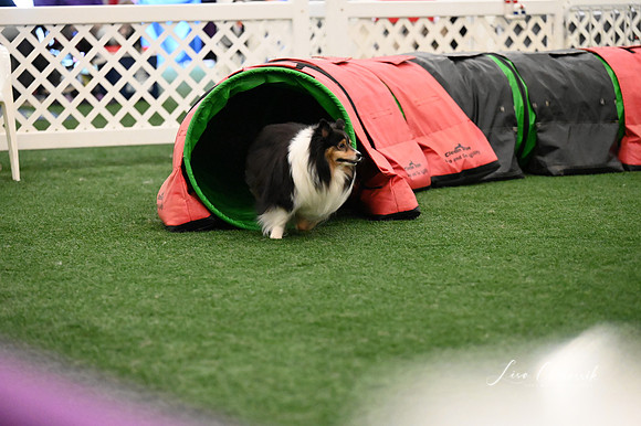 LMP_0067