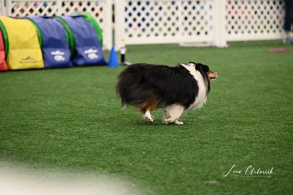 LMP_0069