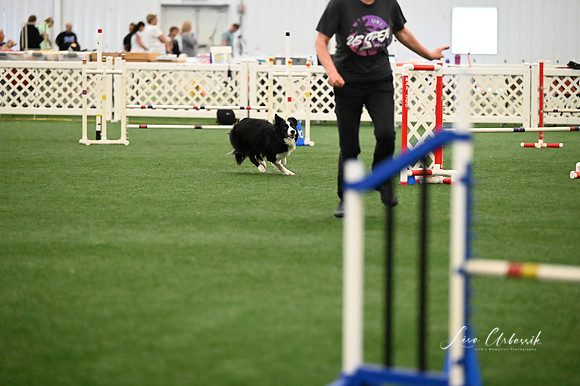 LMP_0786