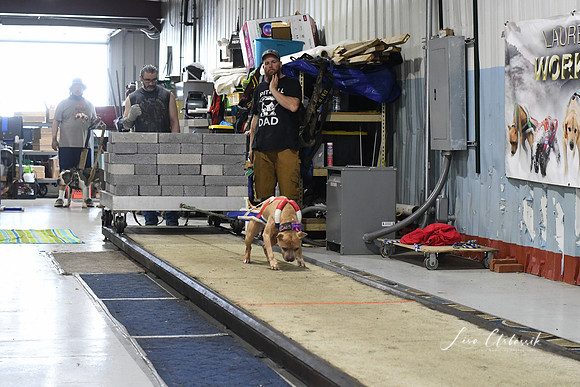 DSC_2316
