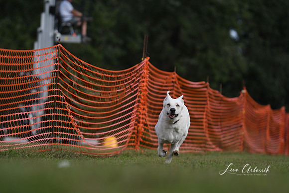 DSC_1785