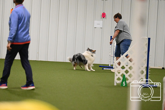LMP_9008