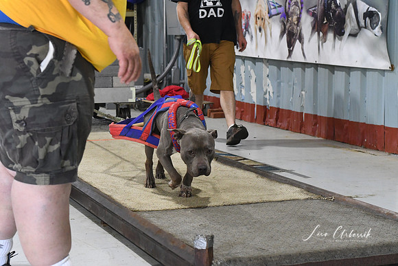 DSC_1345