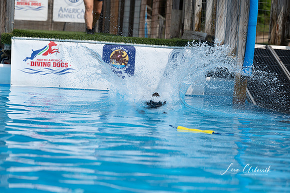 LMP_7431