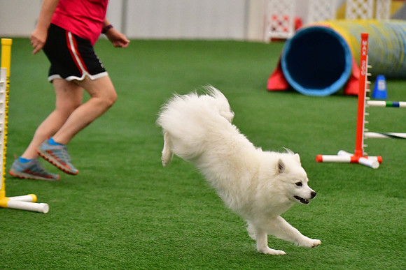 LMP_8440
