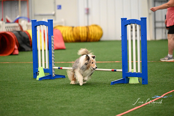 LMP_4701