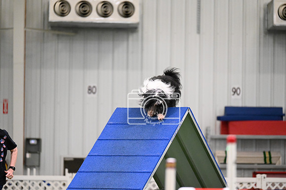 LMP_9378
