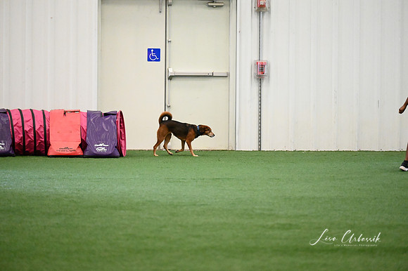 LMP_7295