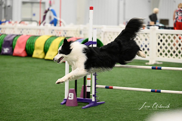 LMP_7664