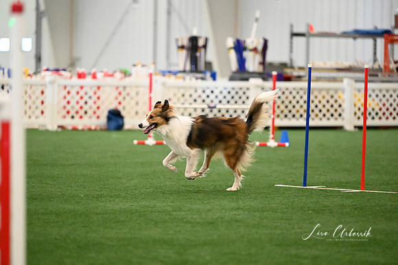 LMP_8461
