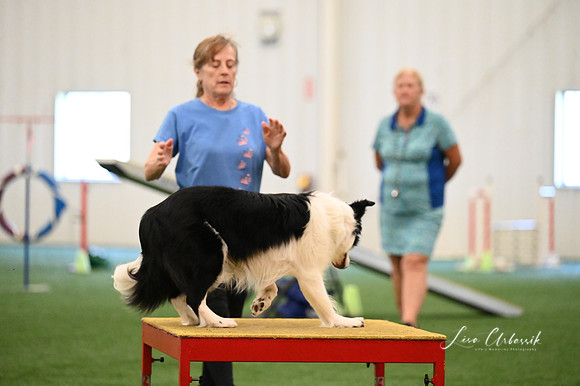 LMP_0433