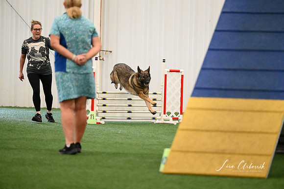 LMP_1687