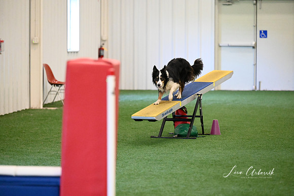 LMP_2349