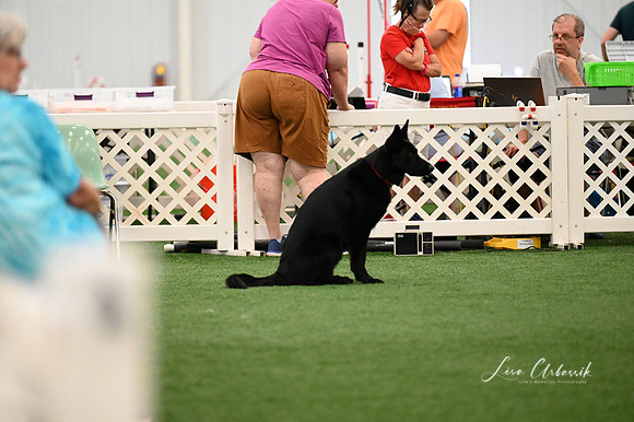LMP_2976