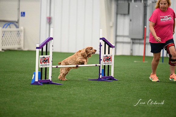 LMP_3459