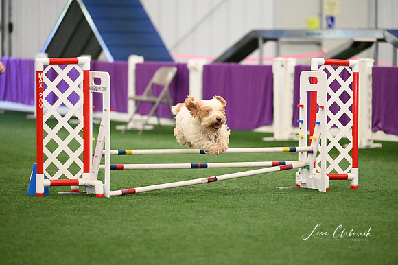 LMP_3528