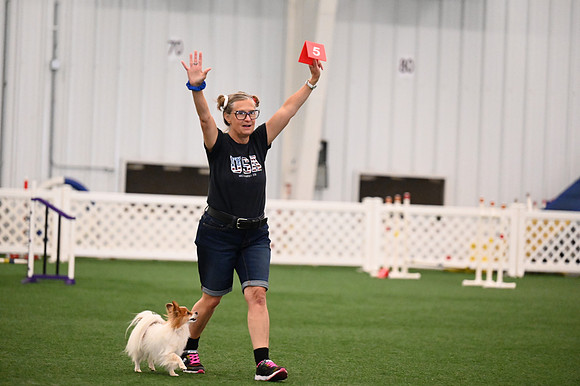 LMP_6028