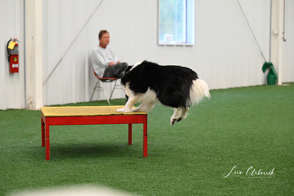 LMP_4703