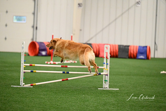 LMP_4729
