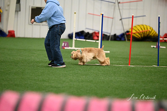 LMP_5704
