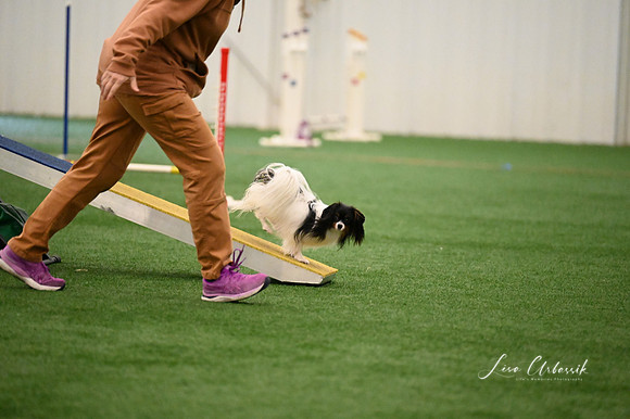 LMP_7515