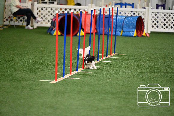 LMP_0544
