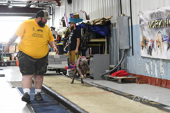 DSC_0861