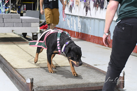 DSC_0647