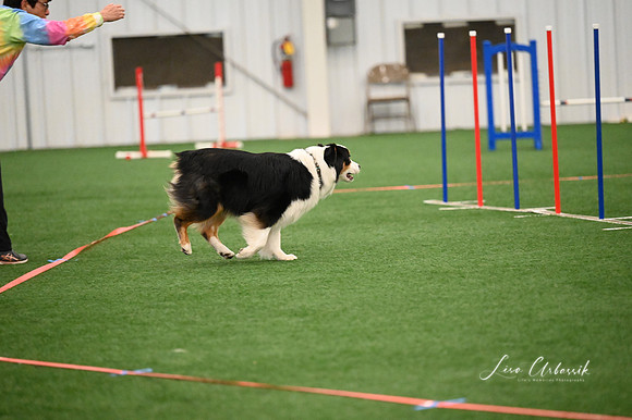 LMP_0031