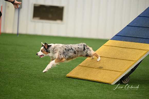 LMP_1298