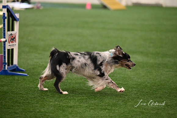 LMP_2293
