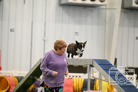 LMP_8877