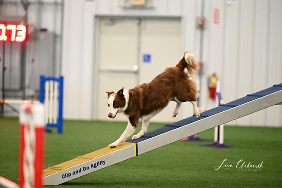 LMP_3354