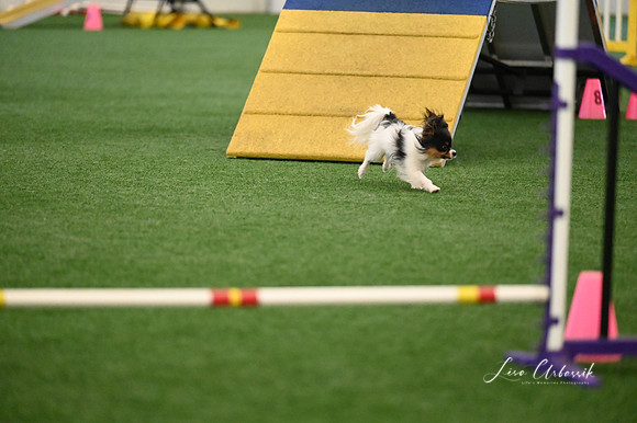 LMP_3822