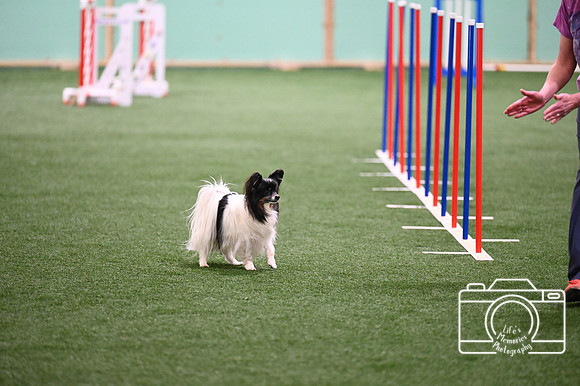 LMP_3083