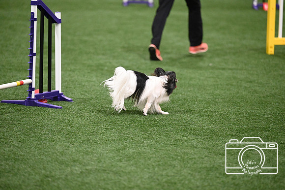 LMP_0465