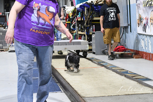 DSC_0172