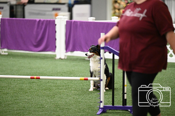 LMP_9189