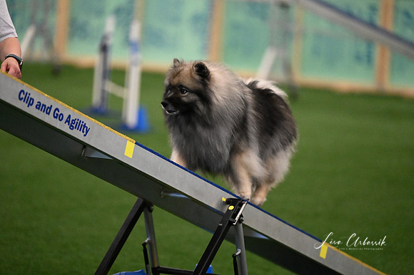 LMP_1782