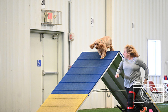 LMP_9843