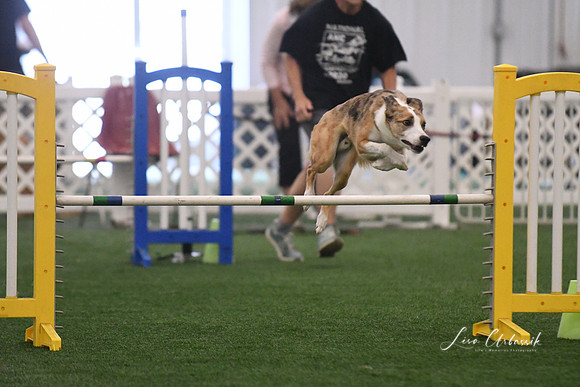 DSC_7767