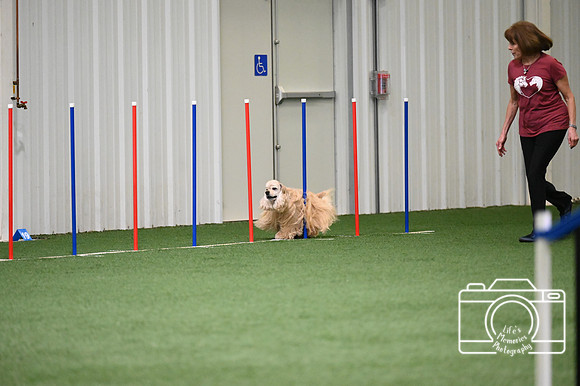 LMP_6347