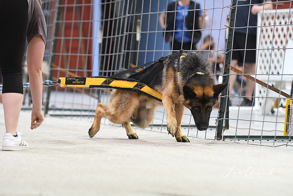 DigitalDSC_8102