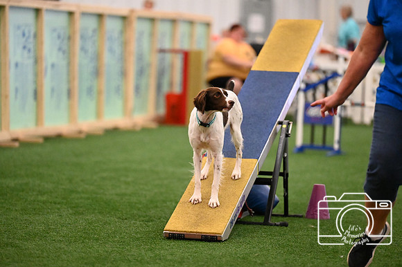 LMP_8093