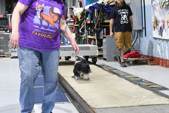 DSC_0171