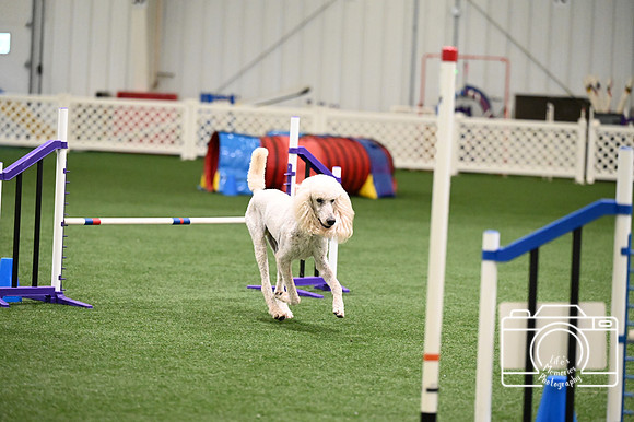 LMP_0616