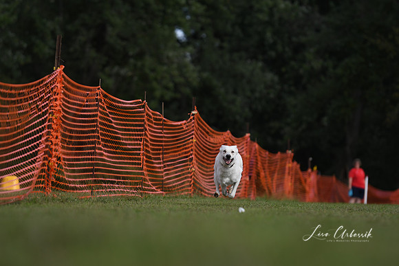 DSC_1781