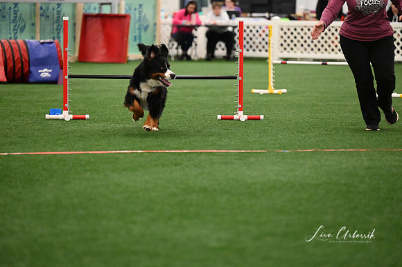 LMP_6151