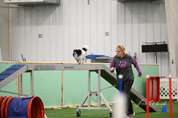 LMP_6358
