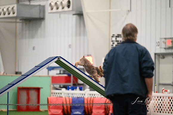 LMP_7435